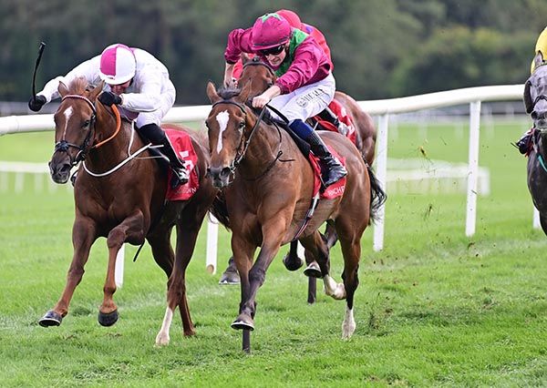 Golden Splendour and Joey Sheridan (centre)