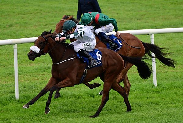Noble Honour and Shane Foley 