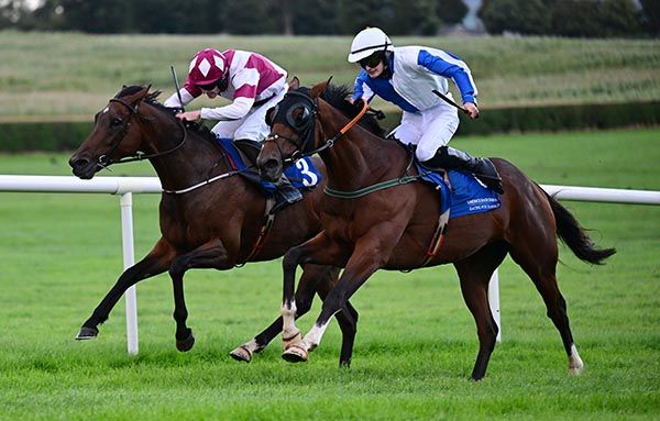 Cornmarket and Lee Shanahan