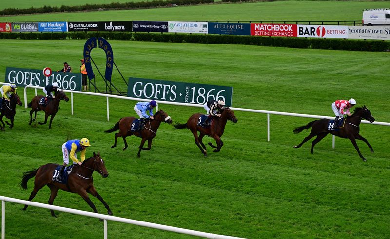 Santo Parvenue (red colours) wins on the far side