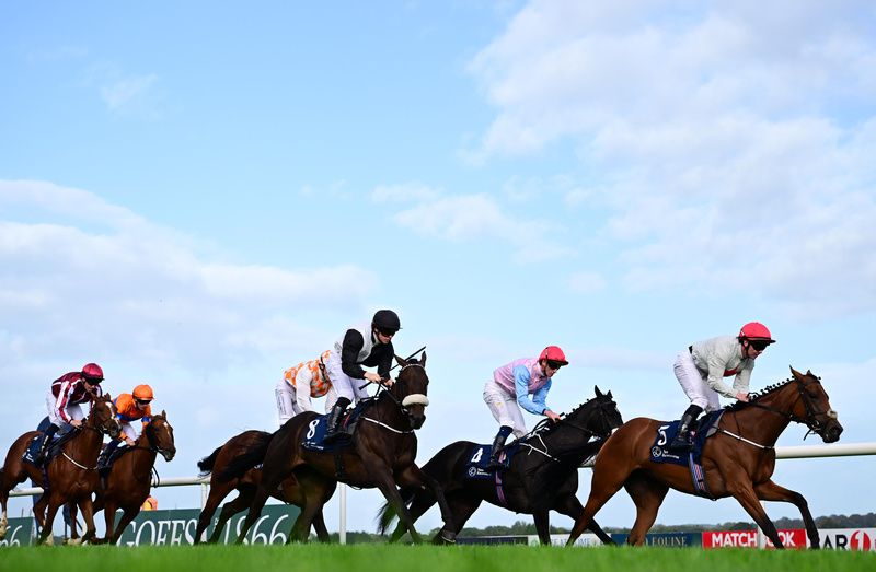 Cromane lead them home in the mile nursery