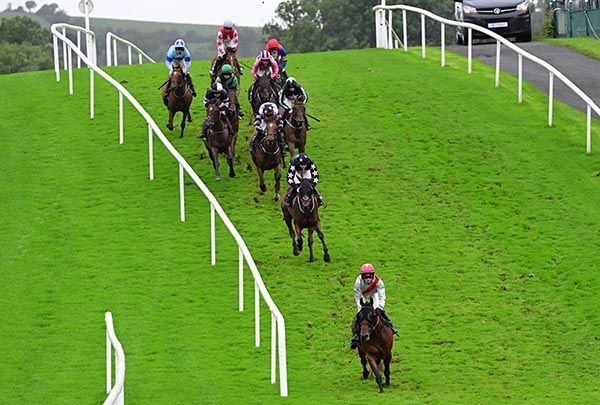 Calm Flight Ahead leads the field