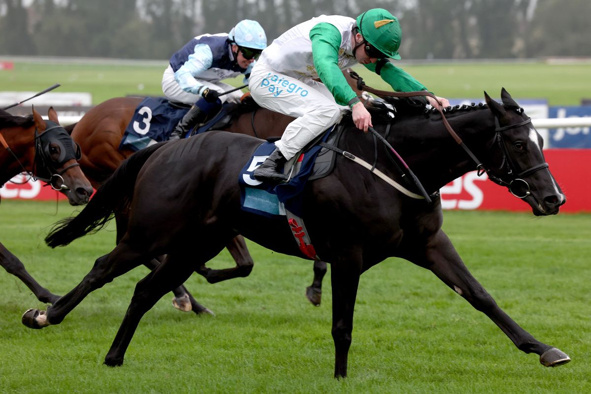 Mussab and Oisin Orr 