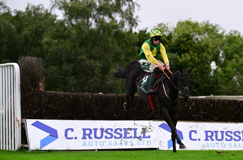Sea Of Doubt on her way to a decisive victory 
