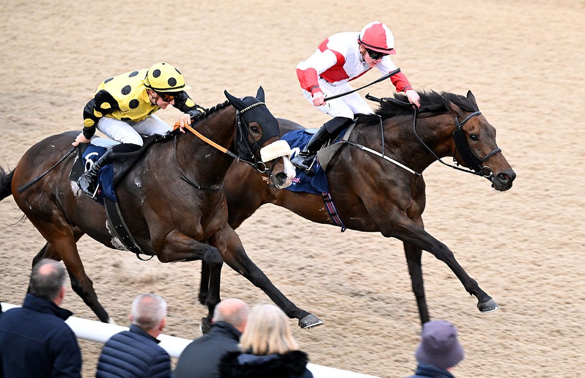 Mickey The Steel (far side) holds Send Harry 