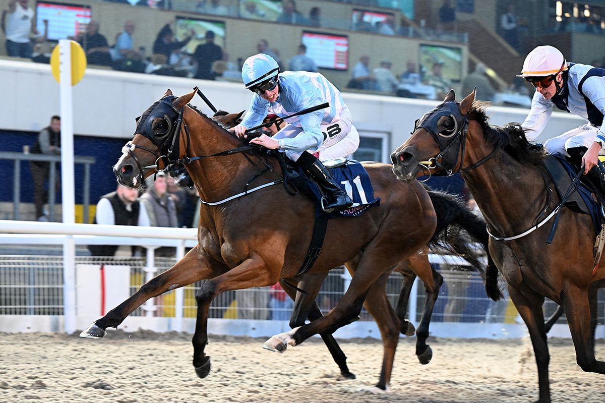 Starflow (left) fends off  Storm Eric (nearest)