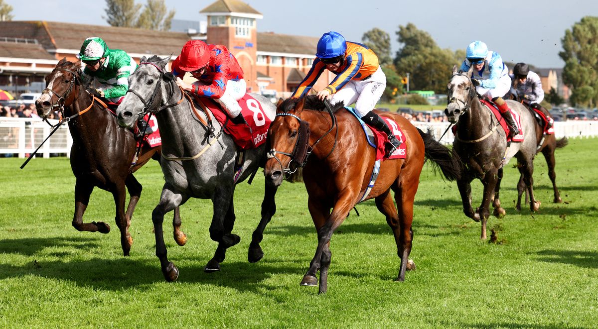 Station X and Oisin Orr (centre in red colours) 