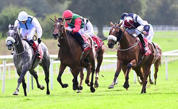 Syzygy and Scott McCullagh (right) beat Pollenca (left) and Sindria (centre) 