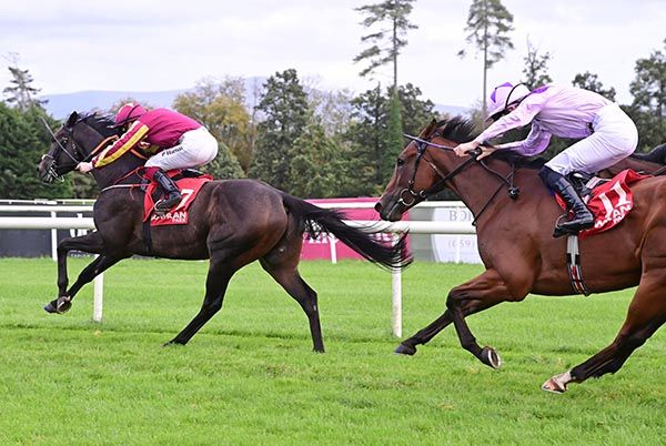 Navajo Point and Paddy Harnett score at Gowran