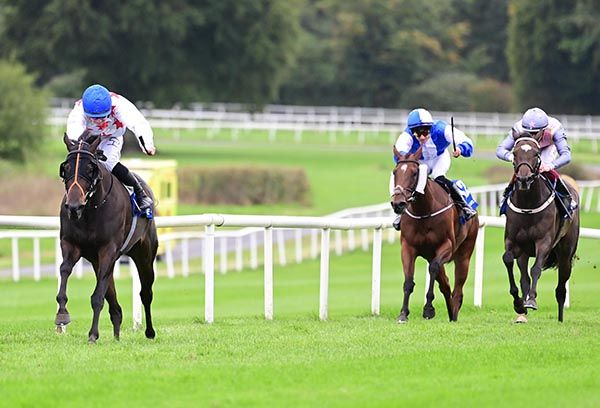 Chipsrdown and Sam Coen 