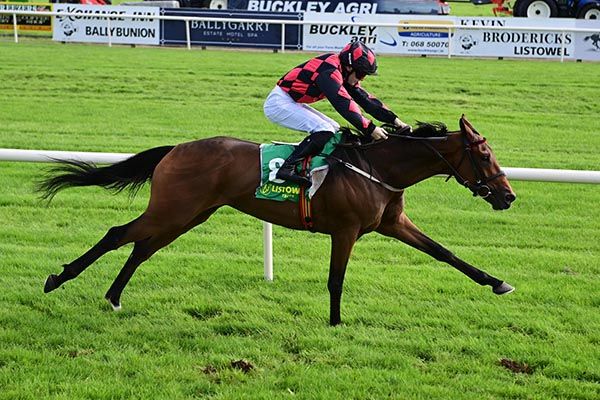 Canon Law and Reese Holohan