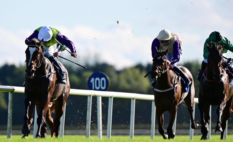 Divine Legend (left)