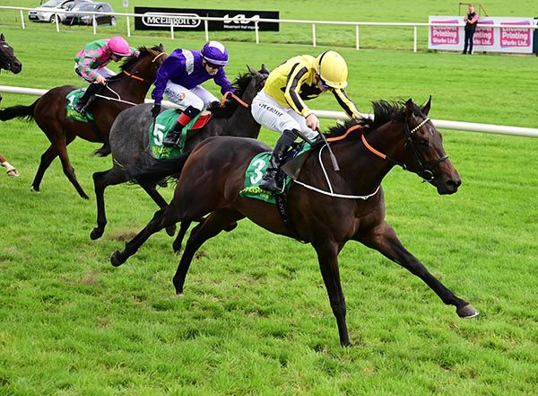 Letmeentertainyou has his rivals beaten