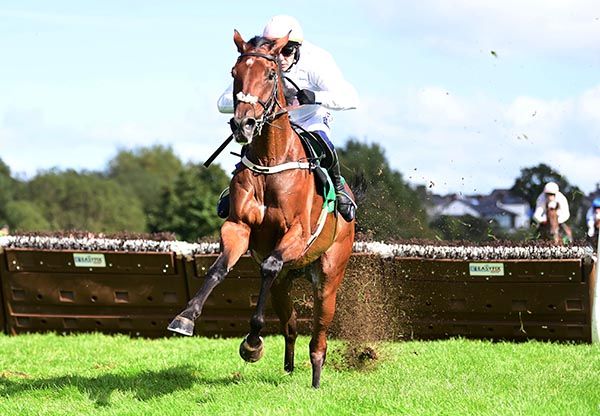 Love Me Tender and Paul Townend on their way to winning the McSweeney Brothers Maiden Hurdle at Listowel this afternoon