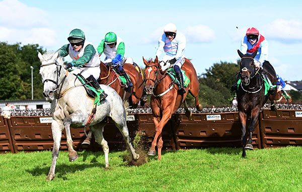 Millstream Lady and Tommy Kelly lead the way to win the Devon Inn Dan Sheehan Memorial Handicap Hurdle 