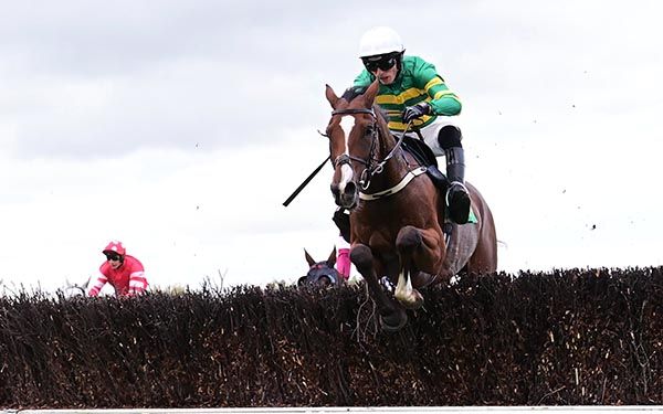 Love Me Tender and Harry Cobden 