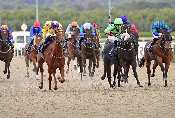 San Giulio, noseband, hits the front