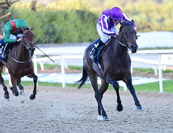 Haven and Wayne Lordan
