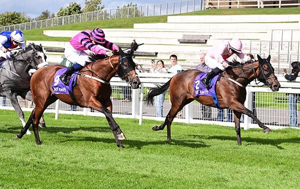 Invincible Will and Gary Carroll right win the Kwiff More Bang For Your Bet Rated Race from Unauthorized 
