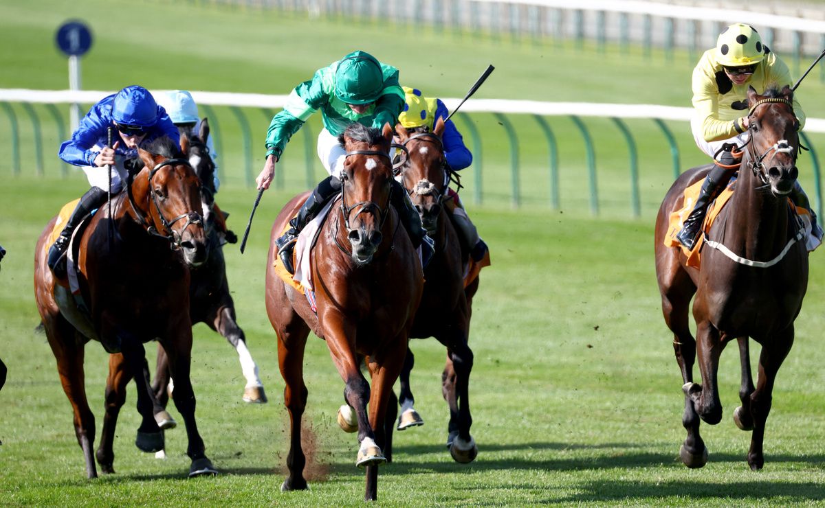 Burning Up (yellow) chased home Haffner (green) in last month's Royal Lodge Stakes   
