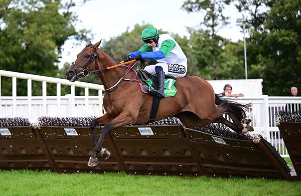 Local Resident Danny Gilligan win the John Lynch Memorial Maiden Hurdle 