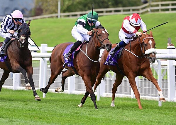 Red Evolution and Reese Holohan right win the Kwiff Supercharged Joe McGrath Handicap 