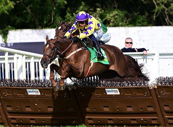 Roc Dino Paul Townend win the Allman Contracts Novice Hurdle 