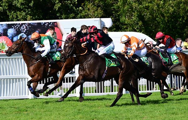 Luck Between Us and Niall Moore (black and red)