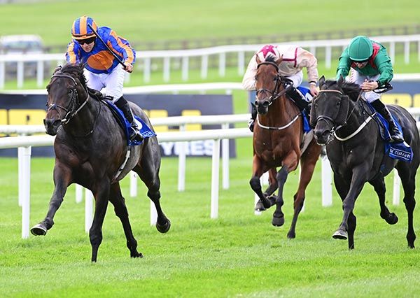 Come What May and Wayne Lordan win the Gra Chocolates Maiden 
