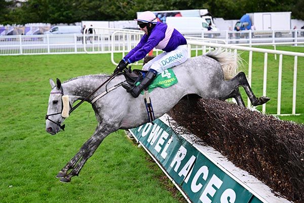Listowel 26 9 26Pinot Gris Darragh O Keeffe win the Charlie Chute Memorial Handicap Steeplechase 