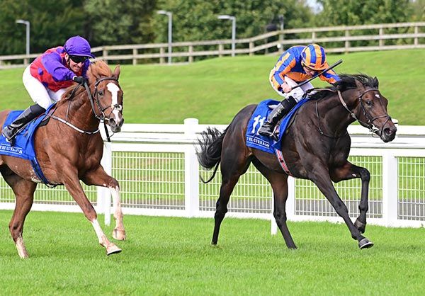 Raging Bull and Ryan Moore right 