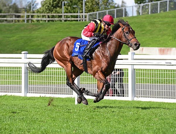  Valentino Eclipse and Seamus Heffernan win the Celebrating County Kildare And Lexington Twinning Maiden