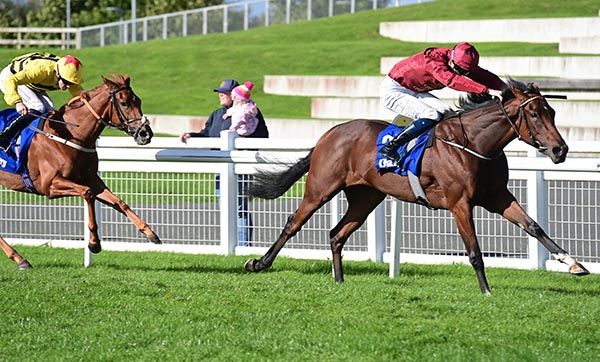Curracloe and Ben Coen win the Darley Fillies Stakes Group 3 Healy Racing Photo