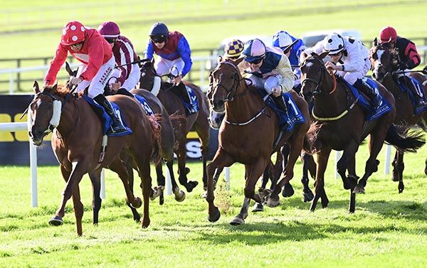  Chally Chute and Sam Coen right win the Friends Of The Curragh Irish Cesarewitch from Galileo Dame left 