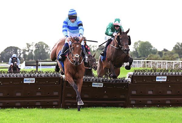 Telegram Sam and Sean Flanagan lead Direct Approach over the last