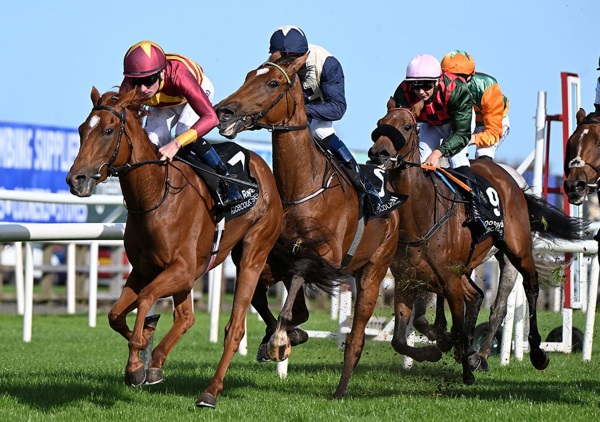 Nellcote and Declan McDonogh (left)