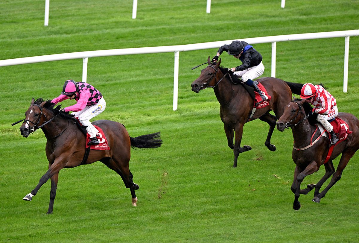 El Domino and Andrew Slattery 