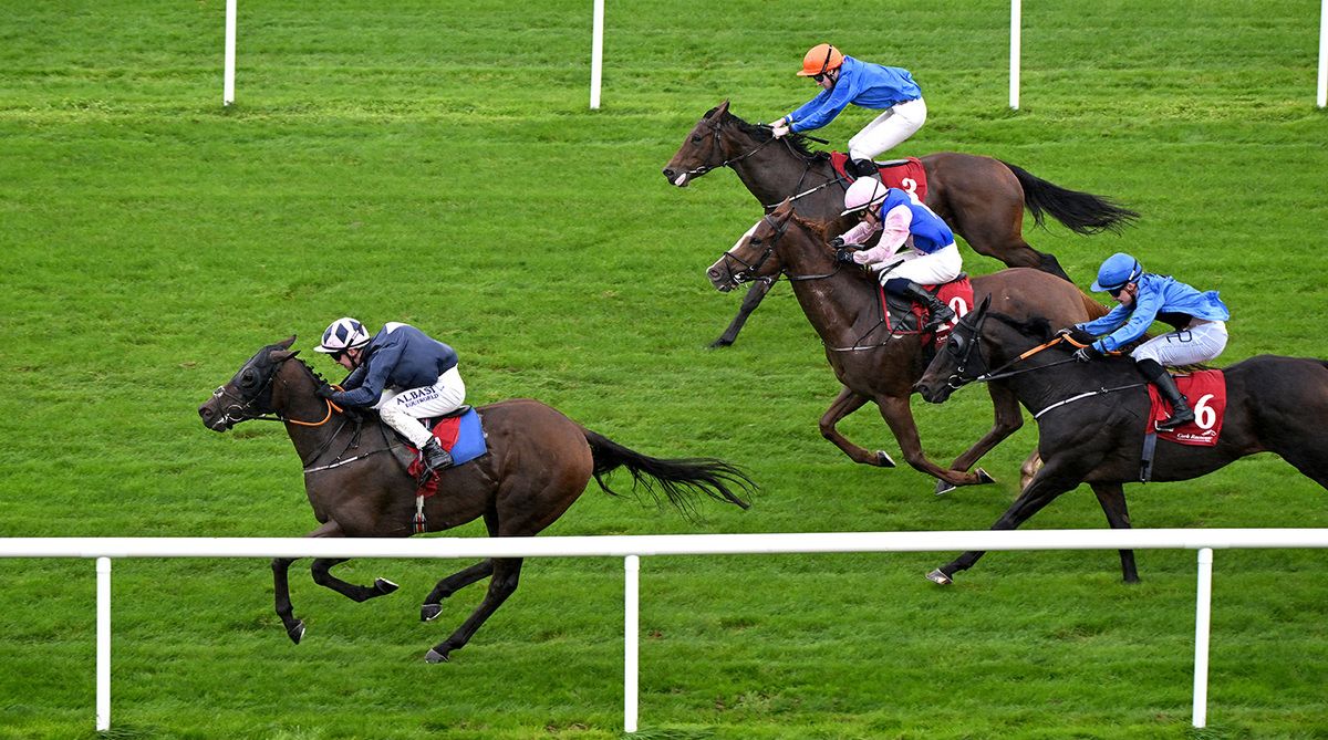 Verified and Gary Carroll 