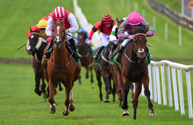 Borora Aura and Terry Casey beat stablemate Storzando