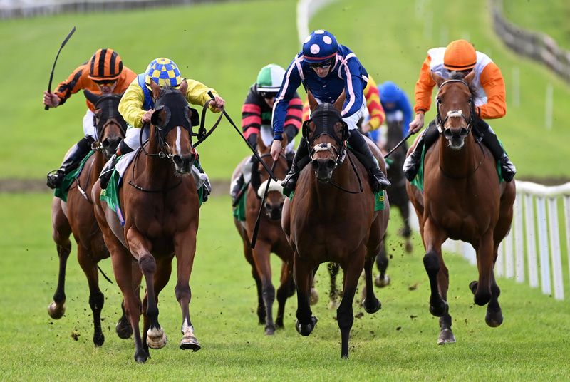 White Smoke and Rory Cleary (left) beat Osterode 