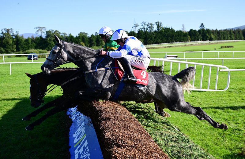 Frankie John and Dan King win for trainer Denis Hogan  