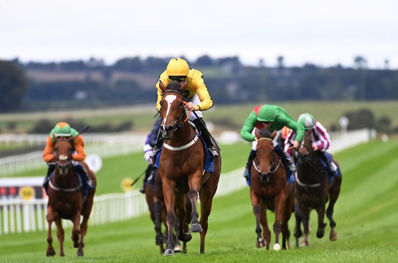 Pirate Anne Bonny and Billy Lee win for owner Robert Moran and trainer Paddy Twomey