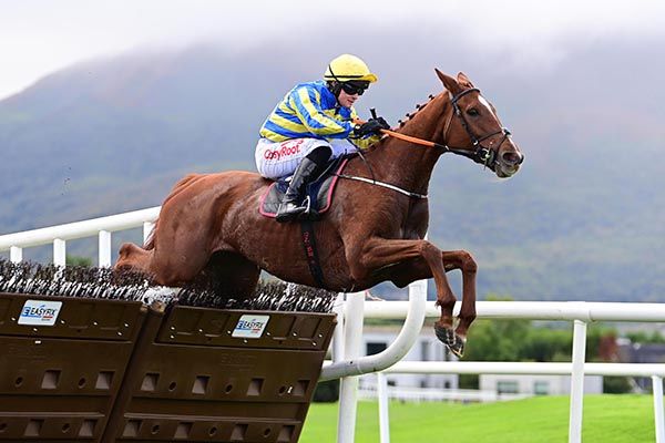 Astelia and Sam Ewing win The Irish Stallion Farms EBF Mares Maiden Hurdle for trainer Peter Fahey 