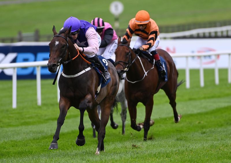 King Cuan and Billy Lee win for trainer Paddy Twomey 