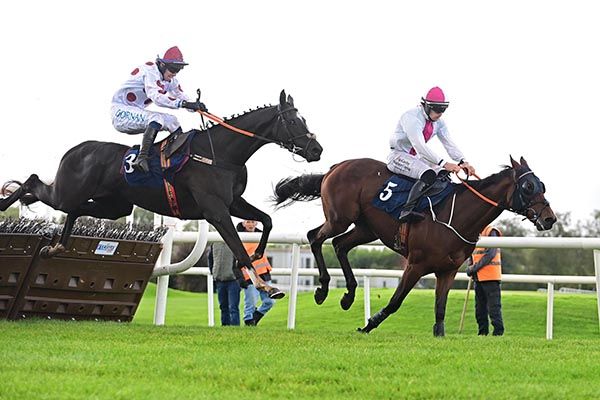 Cocofred (left) comes to claim Firebrand 