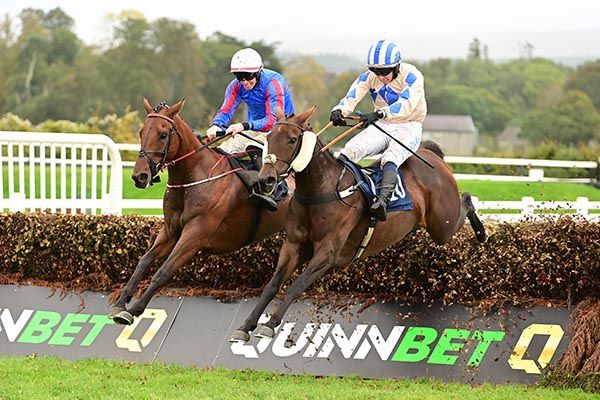Kilbrin Rocco and Jack Kennedy (left) and Stoneyford Lady