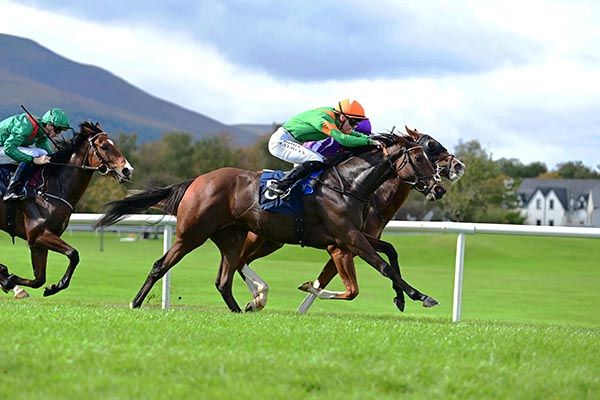 Coastal Wonder and Rory Mulligan 