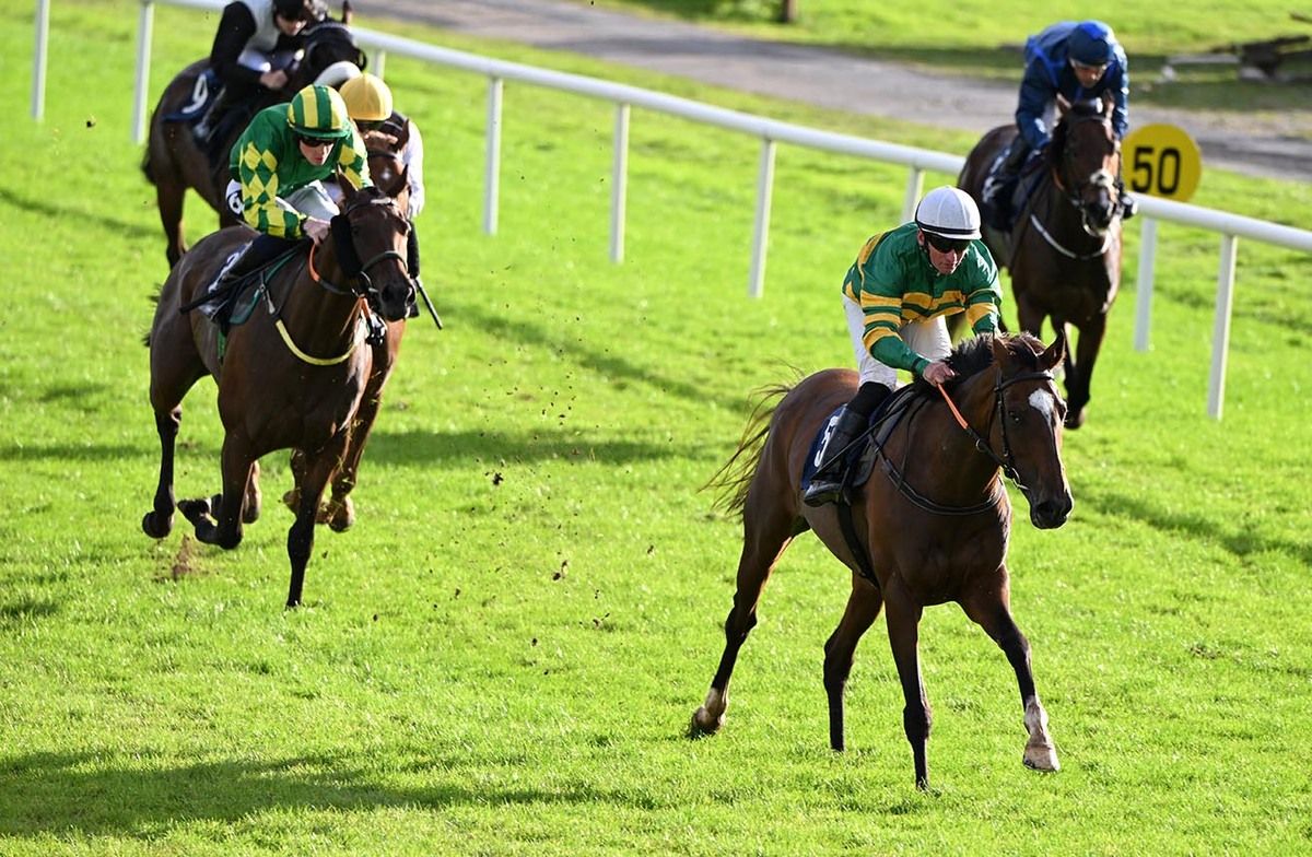 Ballybawn Belter is a snug winner 