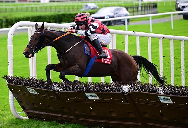 Fire Coral and Phillip Enright 