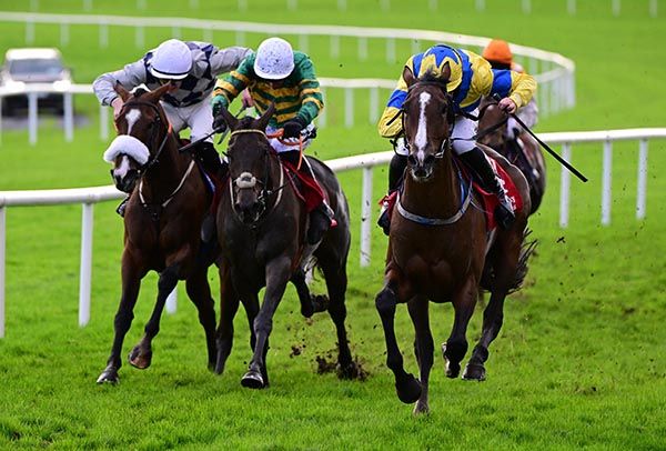 Tomahawk Juke and Declan Queally 